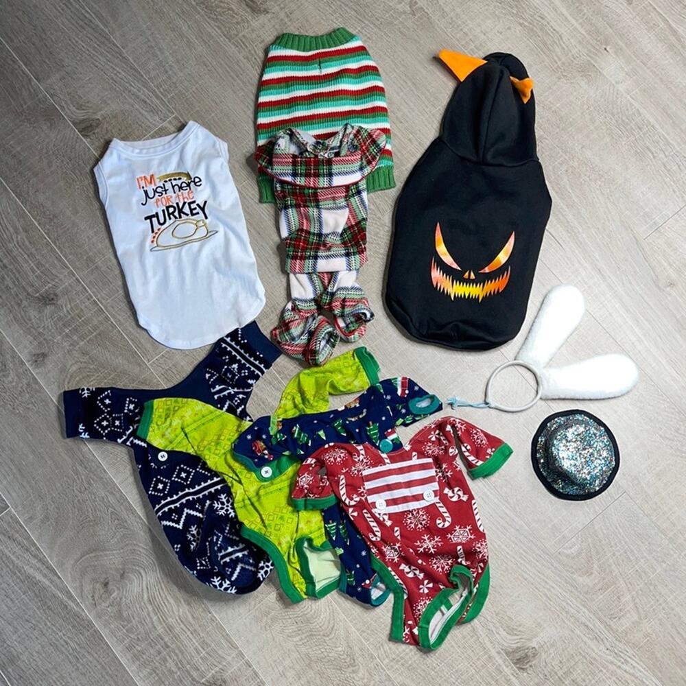 Holiday Small Dog Outfits & Accessories Christmas Easter Thanksgiving Halloween